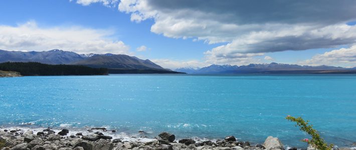 Lago Tekapo – lago Pukaki – Mount Cook – Glacier Tasman